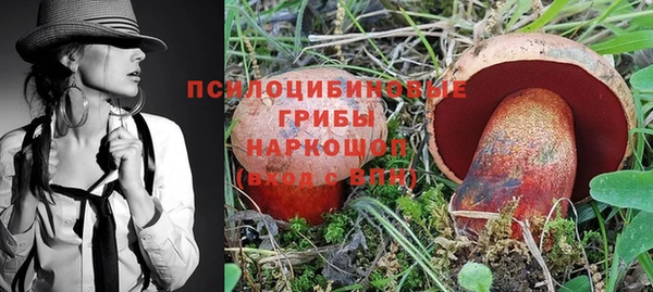 первитин Алексин