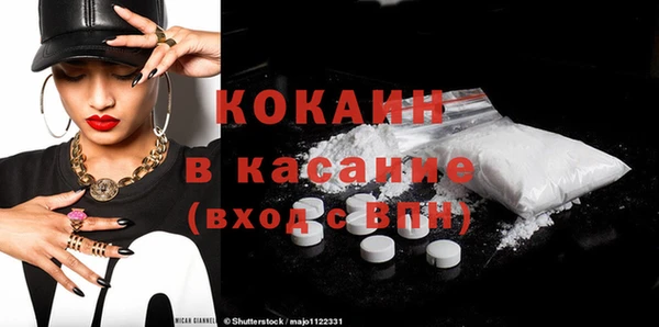 стаф Алзамай