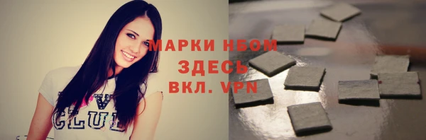 стаф Алзамай