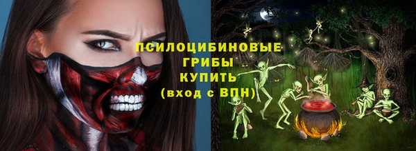 стаф Алзамай