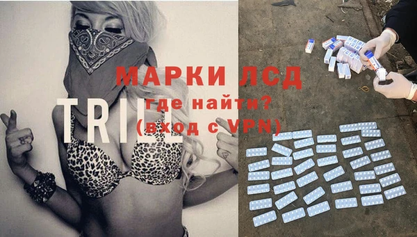 стаф Алзамай