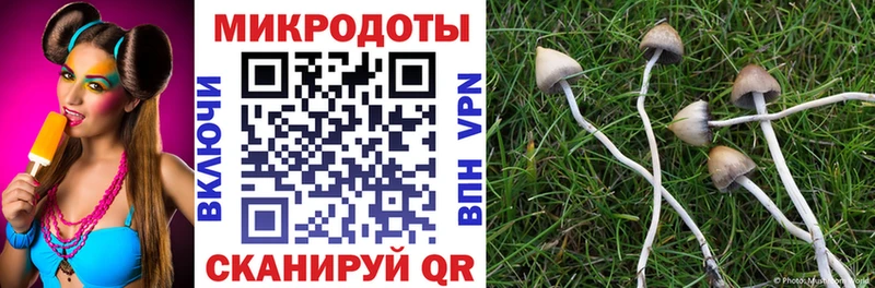 Галлюциногенные грибы GOLDEN TEACHER  как найти   hydra онион  Анжеро-Судженск 