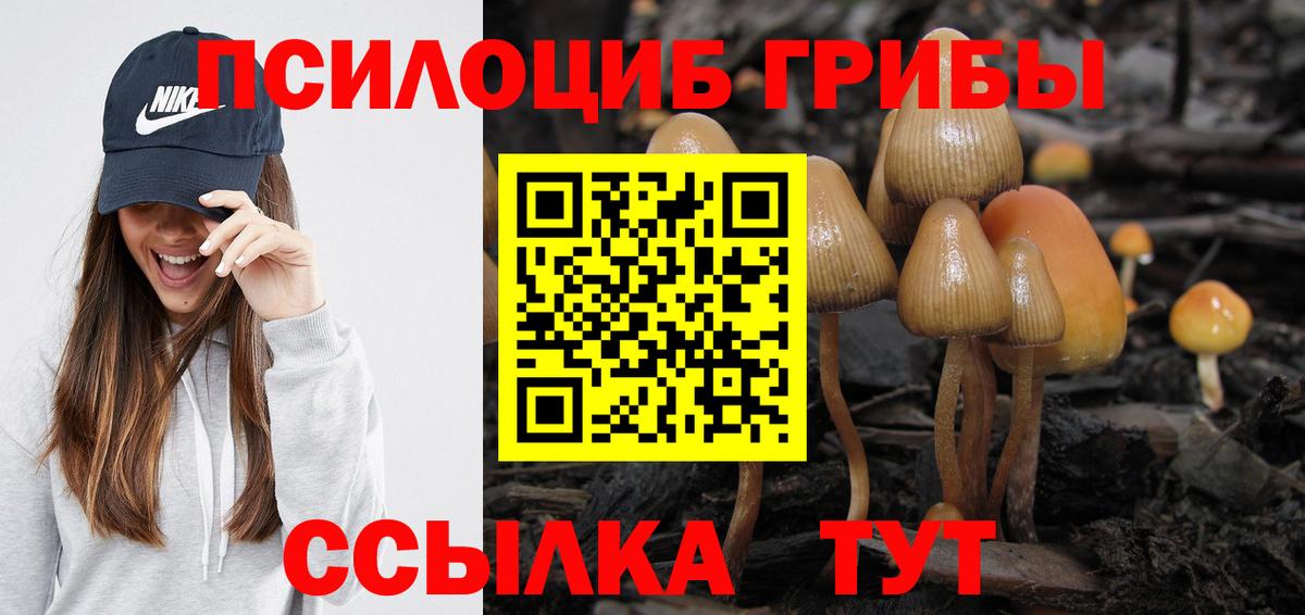 Псилоцибиновые грибы GOLDEN TEACHER  наркотики  Анжеро-Судженск  Вход с VPN  Псилоцибиновые грибы MAGIC MUSHROOMS 