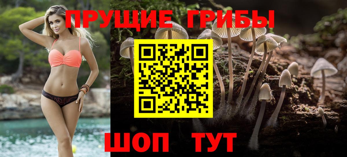 Псилоцибиновые грибы прущие грибы Анжеро-Судженск
